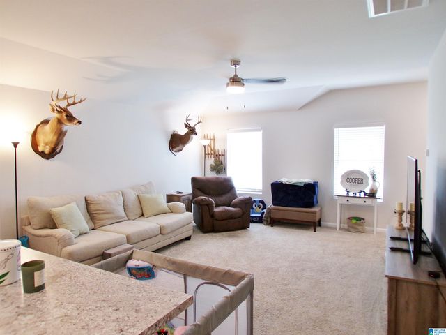 190 ANDREW LANE, Odenville, AL 35120