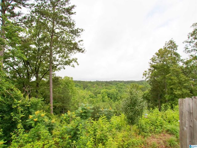 190 ANDREW LANE, Odenville, AL 35120