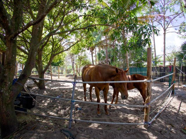 11481 Tangerine Boulevard, The Acreage, FL 33412