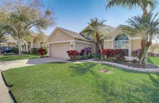 3137 CASTLE ROCK CIRCLE, Land O Lakes, FL 34639