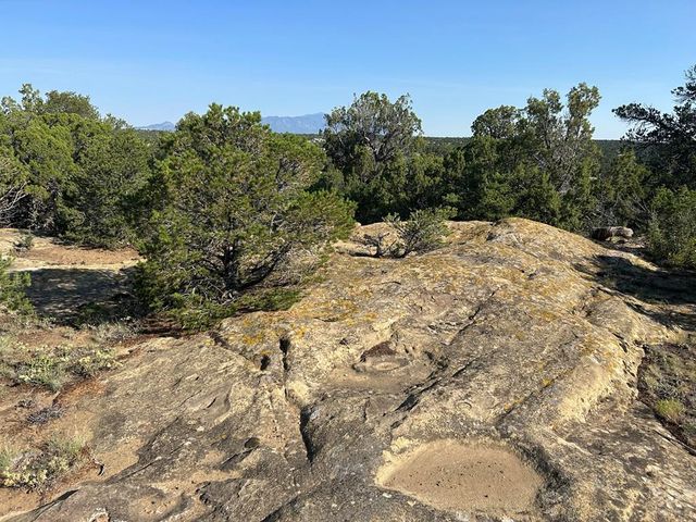 Lot 905 Rio Cucharas, Walsenburg, CO 81089