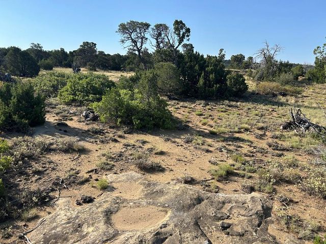 Lot 905 Rio Cucharas, Walsenburg, CO 81089