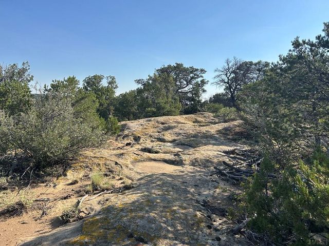 Lot 905 Rio Cucharas, Walsenburg, CO 81089