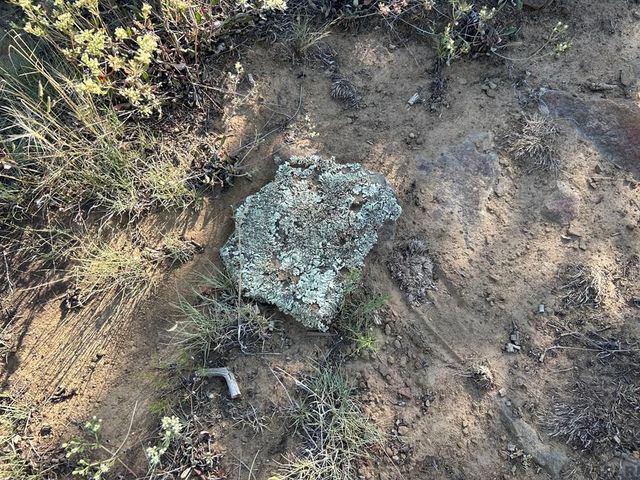 Lot 905 Rio Cucharas, Walsenburg, CO 81089