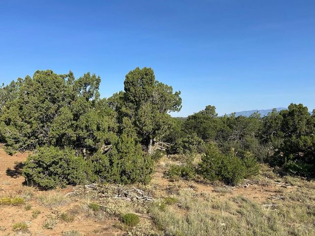 Lot 905 Rio Cucharas, Walsenburg, CO 81089