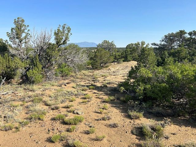Lot 905 Rio Cucharas, Walsenburg, CO 81089