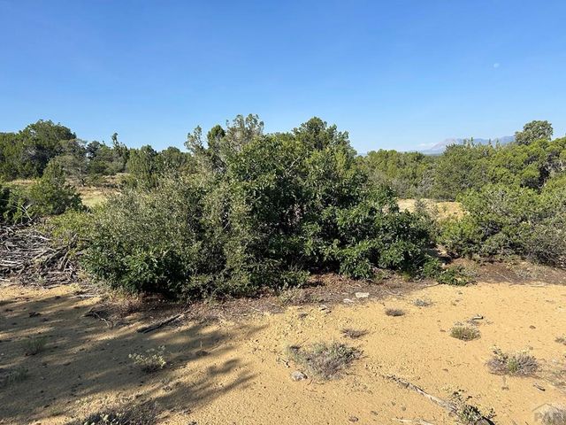 Lot 905 Rio Cucharas, Walsenburg, CO 81089