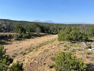 Lot 905 Rio Cucharas, Walsenburg, CO 81089