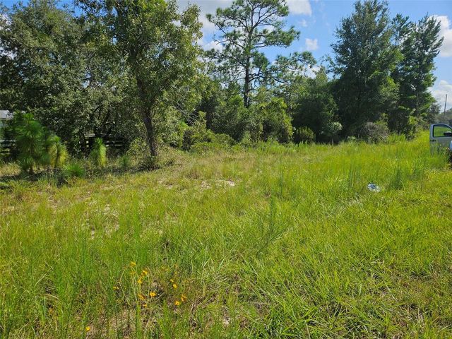 0000 NE 60TH STREET, Bronson, FL 32621