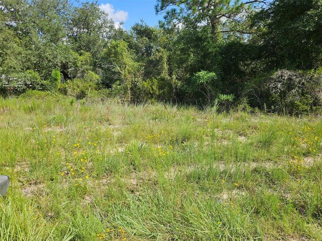 0000 NE 60TH STREET, Bronson, FL 32621