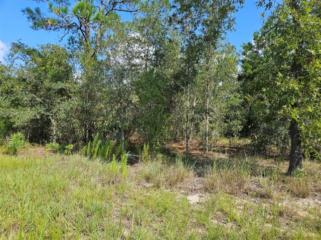 0000 NE 60TH STREET, Bronson, FL 32621