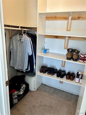 217 Carmel Woods Drive, Ellisville, MO 63021