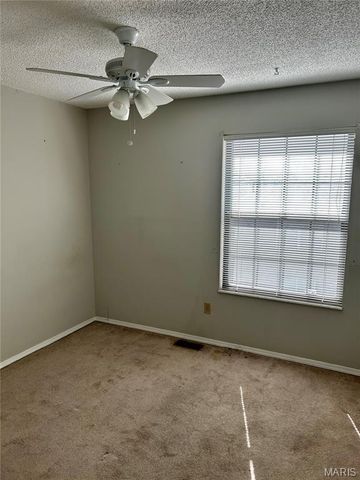 217 Carmel Woods Drive, Ellisville, MO 63021