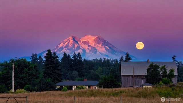 14419 Martinson Road SE, Yelm, WA 98597