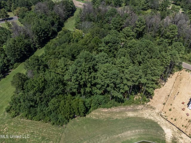 Stone Lake Drive, Madison, MS 39110