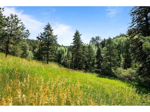 5211 Parmalee Gulch Rd, Indian Hills, CO 80454