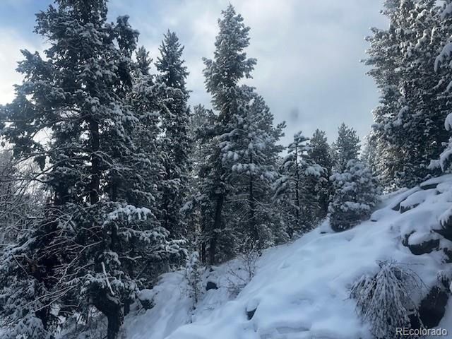 5211 Parmalee Gulch Rd, Indian Hills, CO 80454