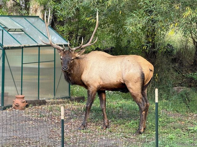 5211 Parmalee Gulch Rd, Indian Hills, CO 80454