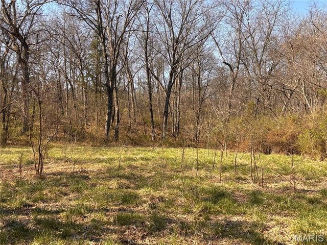 29086 State Highway Aa, Wright City, MO 63390