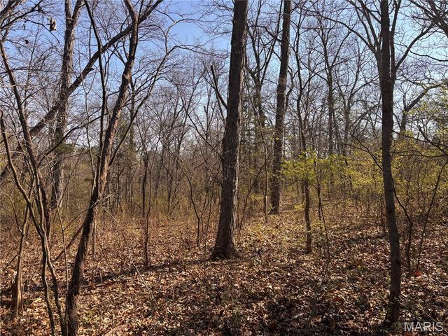 29086 State Highway Aa, Wright City, MO 63390