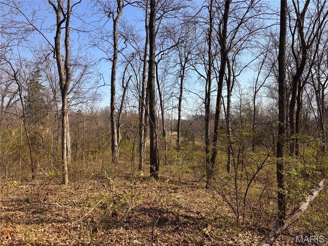 29086 State Highway Aa, Wright City, MO 63390
