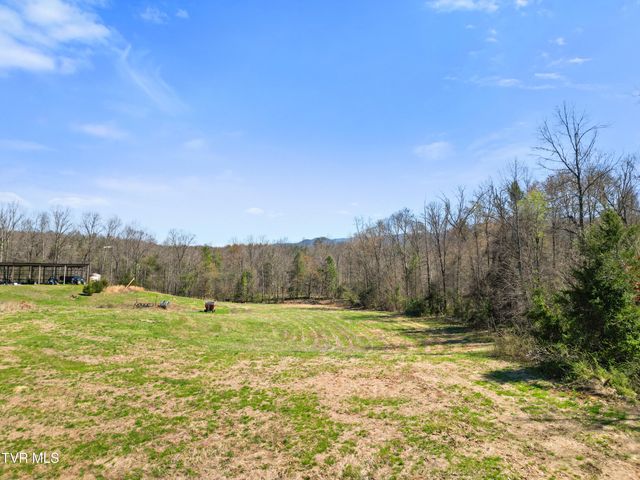 645 & 647 Seaton Road, Afton, TN 37616