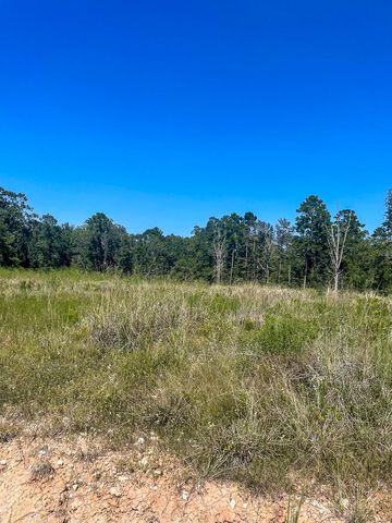 000 Union Springs Road, Corrigan, TX 75939