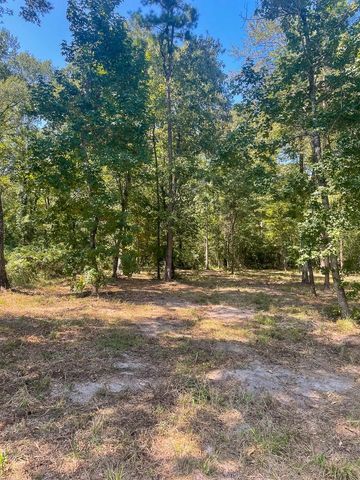 000 Union Springs Road, Corrigan, TX 75939