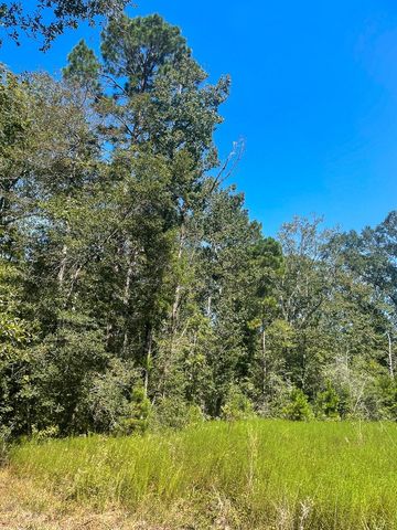 000 Union Springs Road, Corrigan, TX 75939