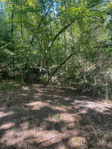 000 Union Springs Road, Corrigan, TX 75939