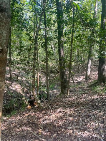 000 Union Springs Road, Corrigan, TX 75939