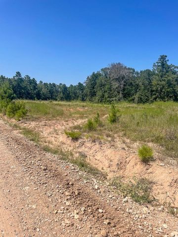 000 Union Springs Road, Corrigan, TX 75939