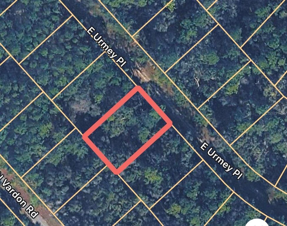1148 E URMEY PLACE, Citrus Springs, FL 34434