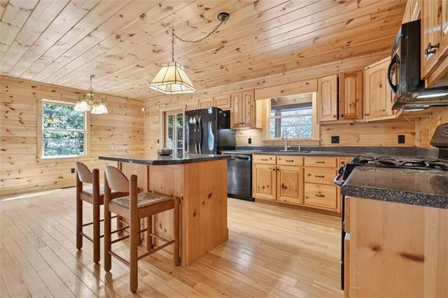 388 Palisade Drive, Ellijay, GA 30540