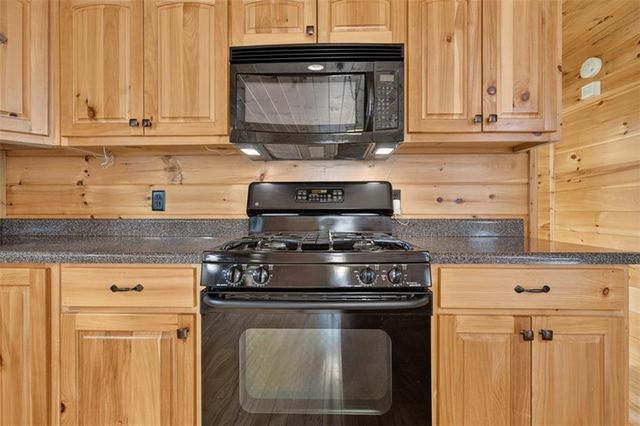 388 Palisade Drive, Ellijay, GA 30540