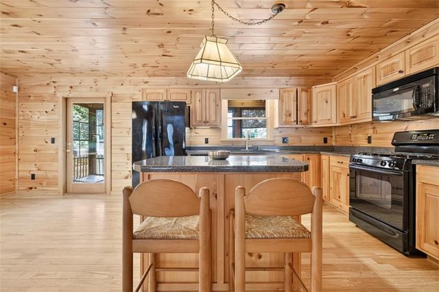 388 Palisade Drive, Ellijay, GA 30540