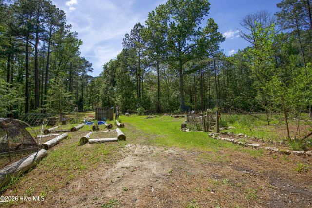 168 Riverview Drive, Vass, NC 28394