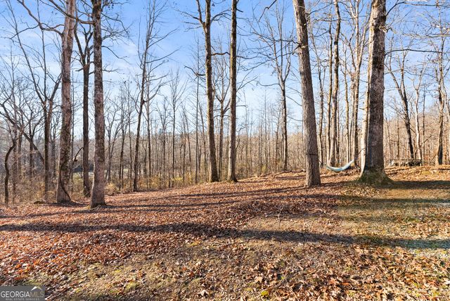 175 Blacks Mill Court, Dawsonville, GA 30534