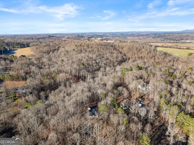 175 Blacks Mill Court, Dawsonville, GA 30534