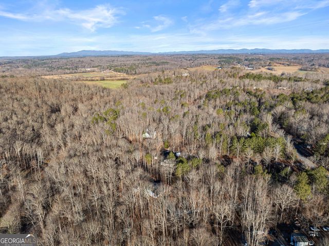 175 Blacks Mill Court, Dawsonville, GA 30534