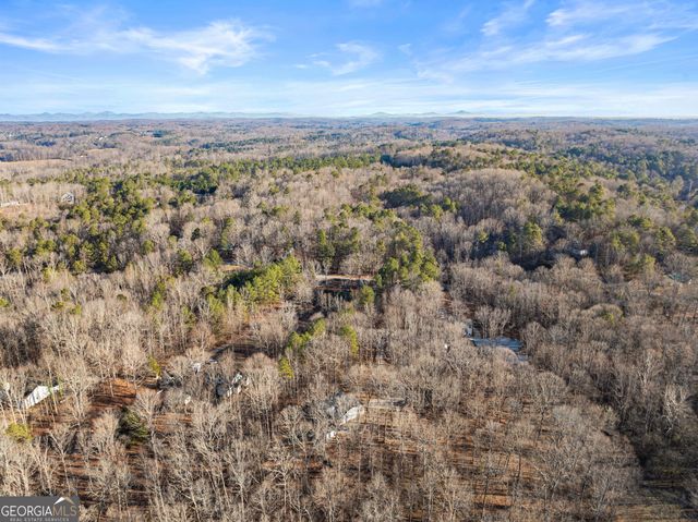 175 Blacks Mill Court, Dawsonville, GA 30534