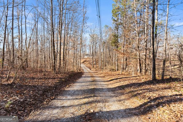 175 Blacks Mill Court, Dawsonville, GA 30534