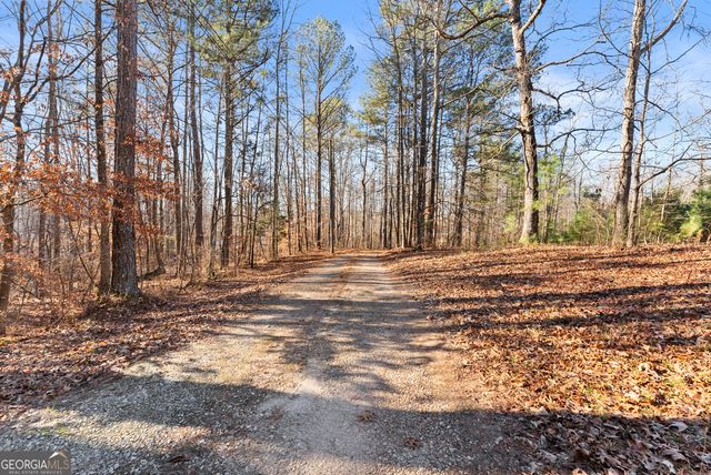 175 Blacks Mill Court, Dawsonville, GA 30534