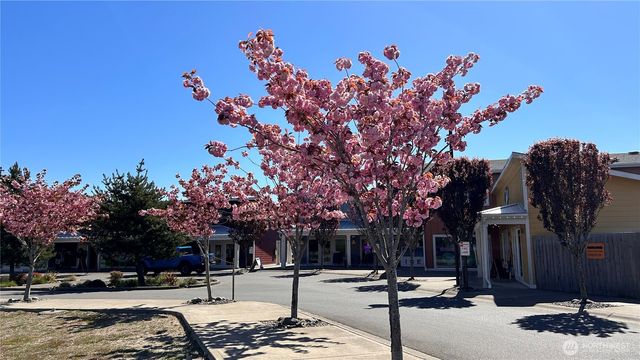 420 Elderberry Lane SW, Ocean Shores, WA 98569