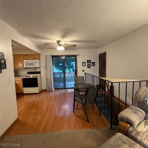 114 Sabetha Place, Akron, OH 44313