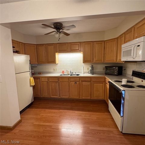 114 Sabetha Place, Akron, OH 44313