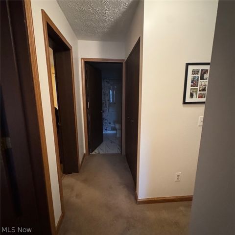 114 Sabetha Place, Akron, OH 44313