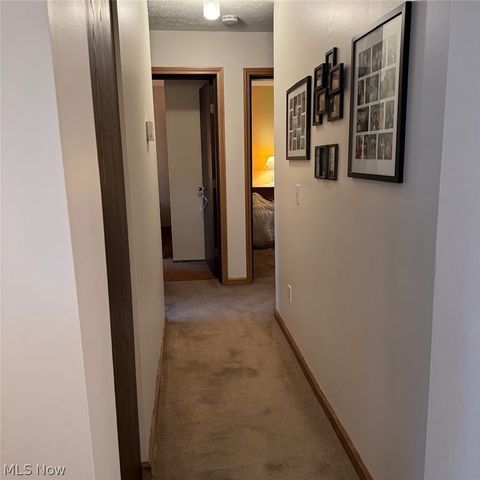 114 Sabetha Place, Akron, OH 44313
