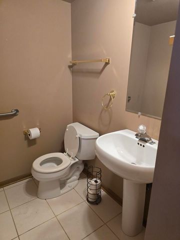 8413 Brookside Glen Drive, Tinley Park, IL 60487