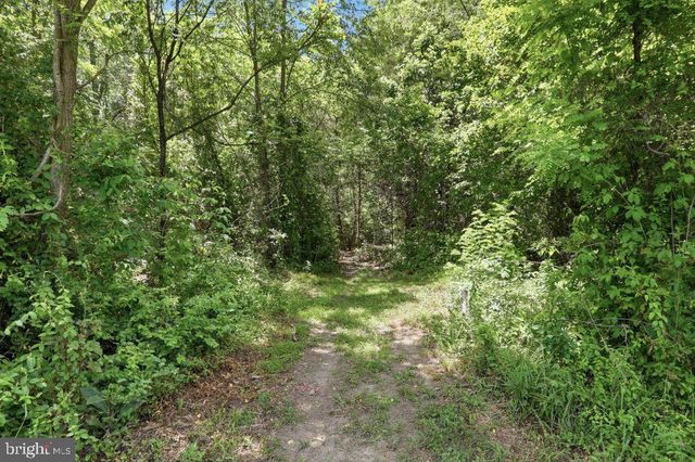 1511 BOLIVER RD, Fort Valley, VA 22652